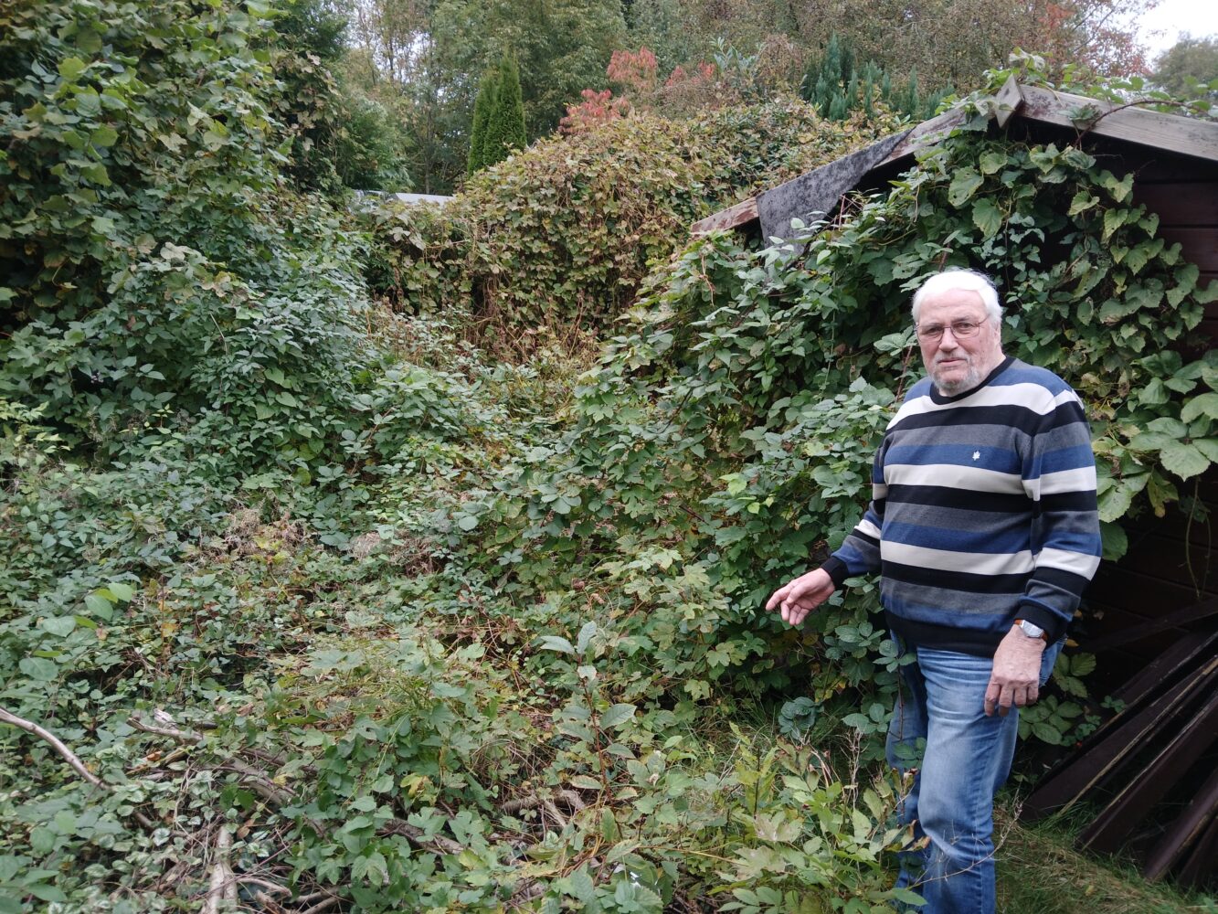 Ein Mann, der vor einem verwucherten Gestrüpp steht.