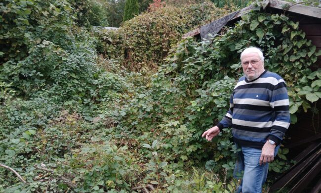 Ein Mann, der vor einem verwucherten Gestrüpp steht.