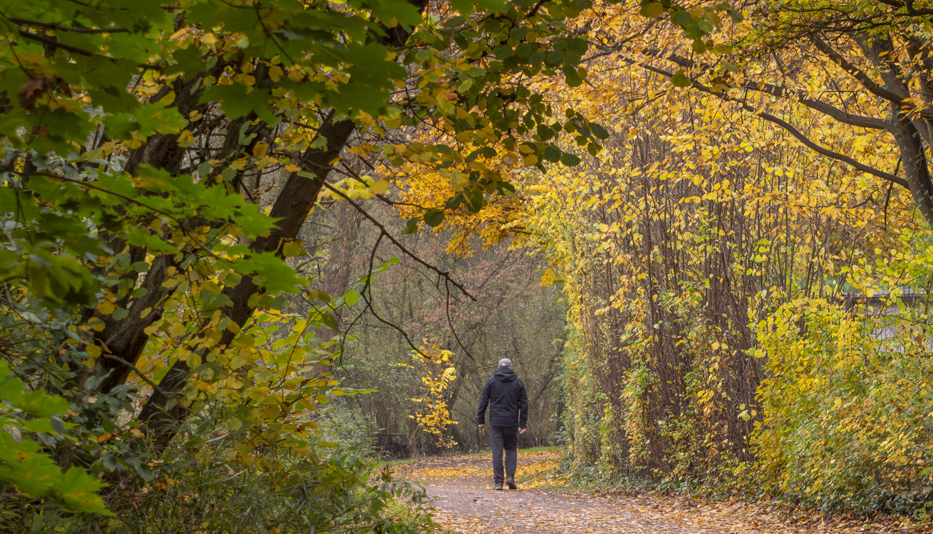Ein Mann der durch einen Wald in Tonndorf geht.