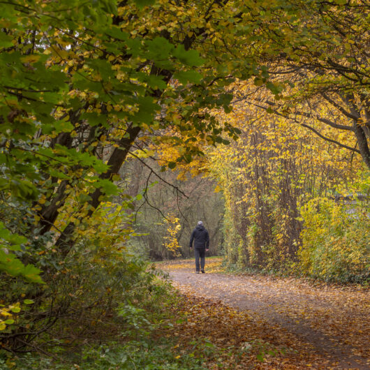 Wanderweg an der Wandse. Foto: Bent Szameitat