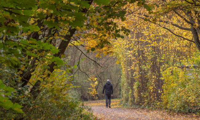 Ein Mann der durch einen Wald in Tonndorf geht.